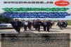 روزانه بیش از چهار میلیون لیتر انواع فرآورده‌های نفتی در سطح نواحی ۹ گانه منطقه تأمین و توزیع می‌شود.